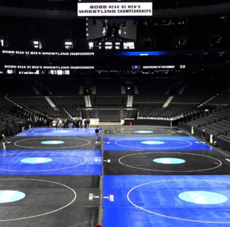 Coatings For Protective Padding: Wrestling Mats/ Performance and Longevity Problem Coatings For Protective Padding: Wrestling Mats/ Performance and Longevity Problem